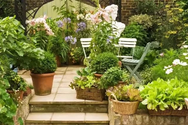 寶雞市致力推進苗木花卉&ldquo;五集中&rdquo;