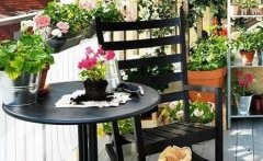 家里擺上花卉的6大好處，不但能凈化空氣，關(guān)鍵