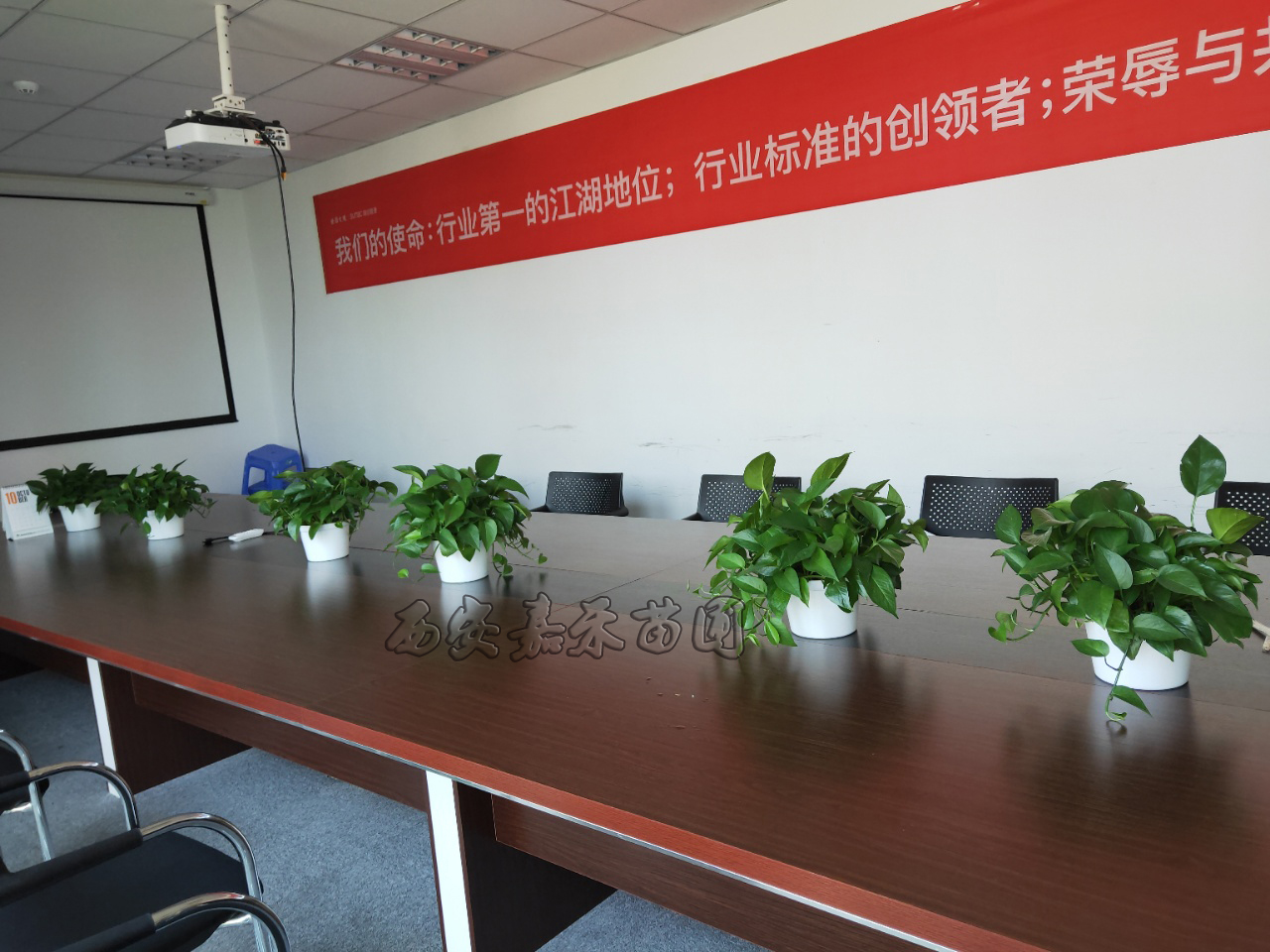 溫江區室內花卉租賃哪家便宜?