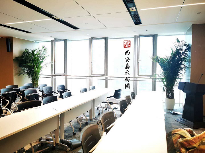 銀行花卉綠植租賃