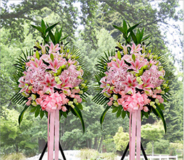 商務(wù)禮儀鮮花