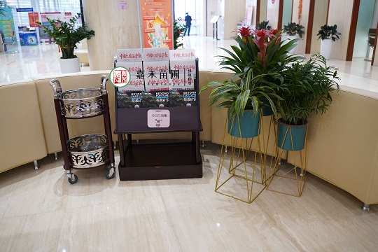 銀行花卉綠植租賃裝飾|西安嘉禾苗圃 銀行花卉綠植租賃裝飾|西安嘉禾苗圃