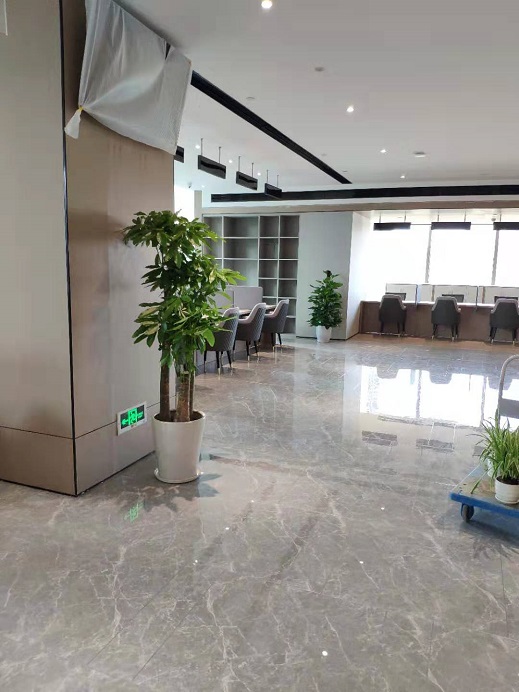 西安銀行綠植租賃|西安嘉禾苗圃 西安銀行綠植租賃|西安嘉禾苗圃