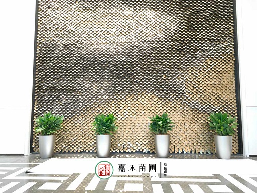 綠意盎然：銀行業與花卉租擺服務的合作，助力可持續發展