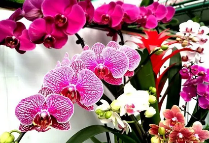 20241030/6721e5b8ce3d9.png 640.webp (5).png