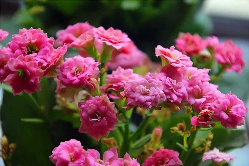 20241120/673d527547a63.jpg 640 (2).jpg