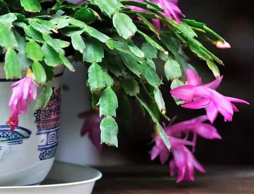 20241120/673d527f61d06.jpg 640 (3).jpg