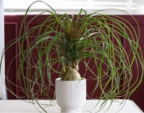 20241216/675fdce434dd8.png QQ20241216-141223.png