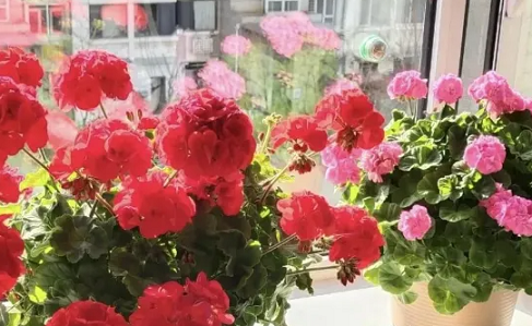 20250106/677b9514d086f.png QQ20250106-163030.png