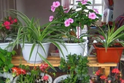 20250106/677b951e294e9.png QQ20250106-163038.png