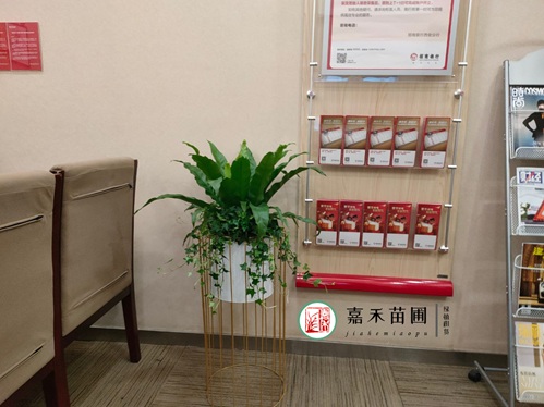 西安銀行綠植租賃都會怎么選擇供應商呢？