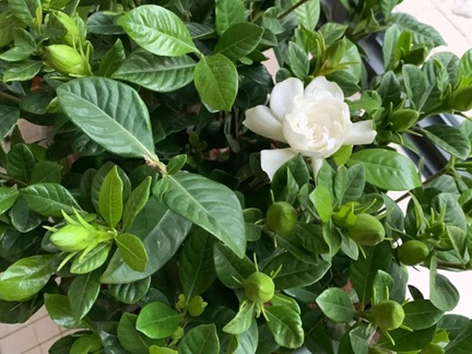 20250315/67d4dd3445a9f.jpg 640 (1).jpg