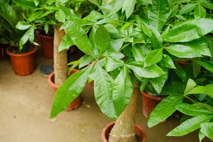 20250327/67e502b33b8be.jpg 640 (1).jpg