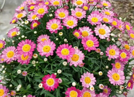 20250523/68301bb34216c.png QQ20250523-145318.png