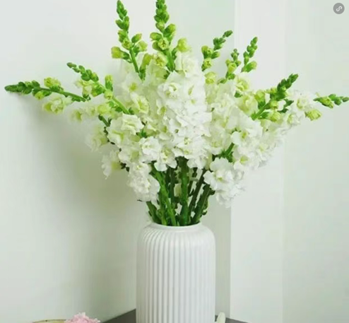 20250529/6837ca4243ca2.png QQ20250529-103506.png