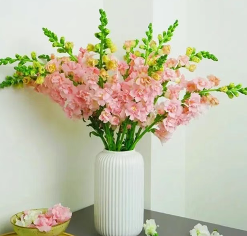 20250529/6837ca4ca805a.png QQ20250529-103521.png