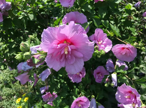 20250606/6842898c6cb8f.png QQ20250606-142040.png