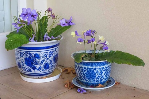 20250708/686cbc7519f86.jpg 640 (1).jpg