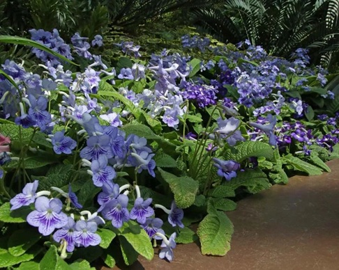 20250708/686cbc822bfb1.jpg 640 (2).jpg