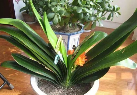 20250719/687af618ea0c3.jpg 640 (2).jpg