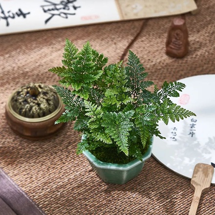 20250806/6892ff64a2186.jpg 640 (1).jpg