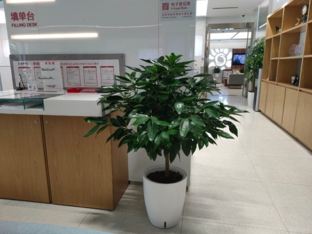 20250904/68b935d8e19ee.jpg 微信圖片_202106150952299.jpg