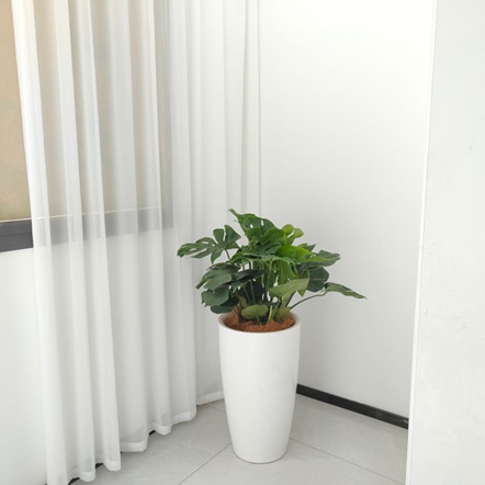 20250904/68b935e9b6f30.jpg 微信圖片_202310081147101.jpg