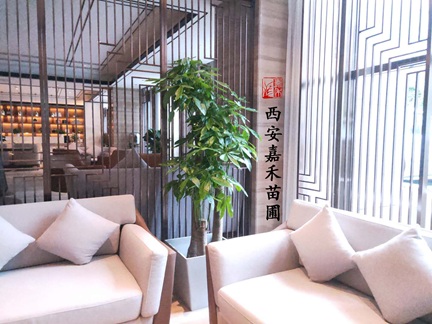 秋冬季節，3種花需要&ldquo;懶養&rdquo;，澆水越多越爛根，管住手！