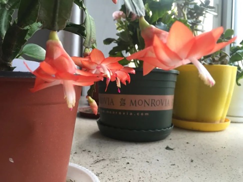 20251204/693135ee6e1ed.jpg 640 (2).jpg